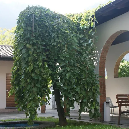 Dei Cappuccini Файдо