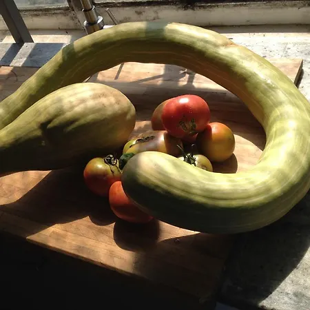 Dei Cappuccini *