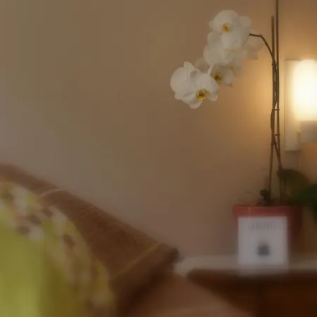 Dei Cappuccini *